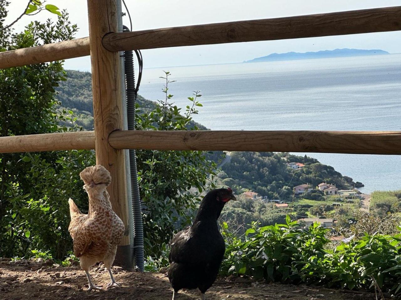 Agriturismo Paradisa Rio dellʼElba Eksteriør bilde