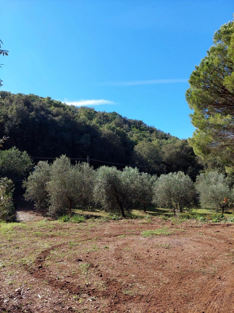 Agriturismo Paradisa Rio dellʼElba Eksteriør bilde