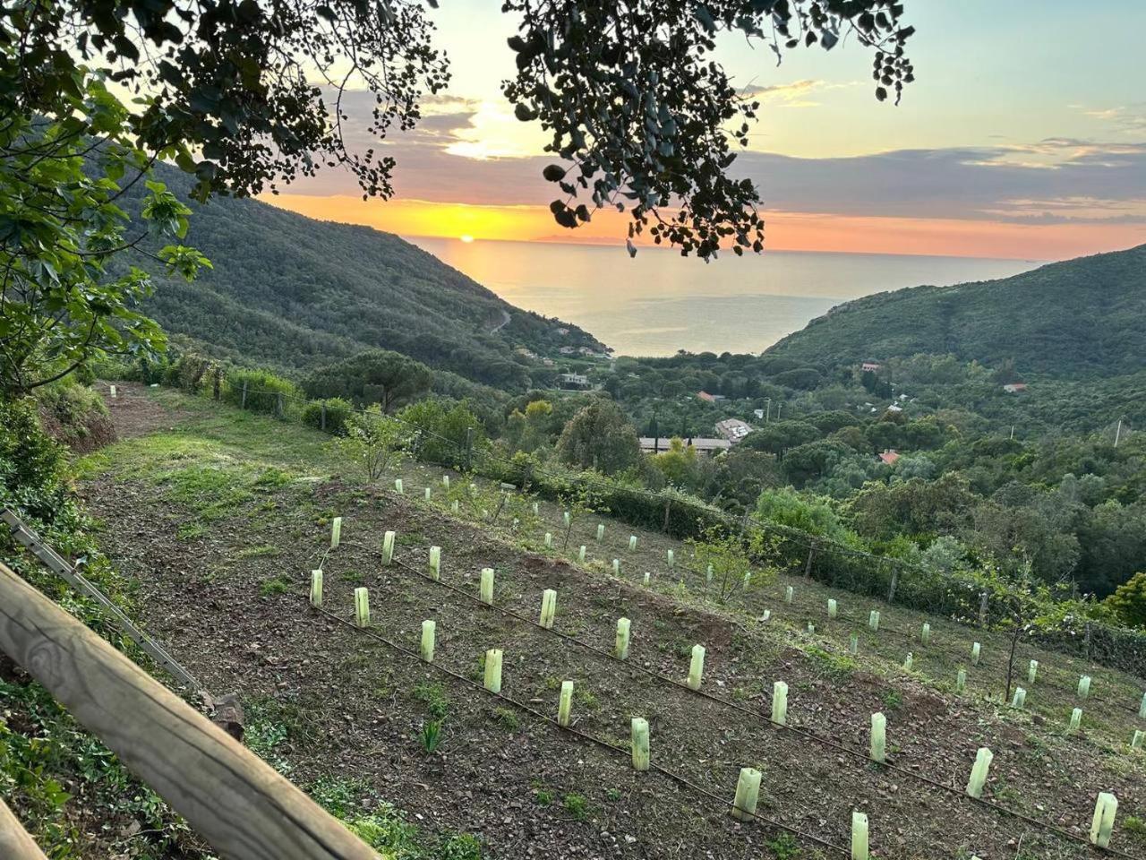 Agriturismo Paradisa Rio dellʼElba Eksteriør bilde